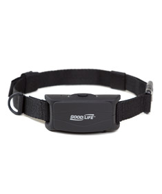 Best Rated Bark Collar Dogs