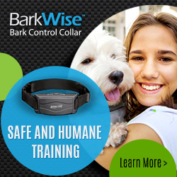 Anti Bark Dog Collar With Remote